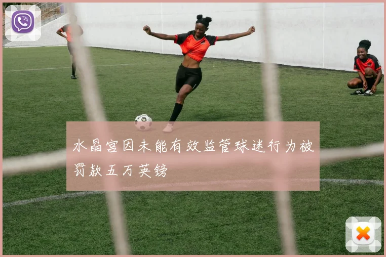 水晶宫因未能有效监管球迷行为被罚款五万英镑