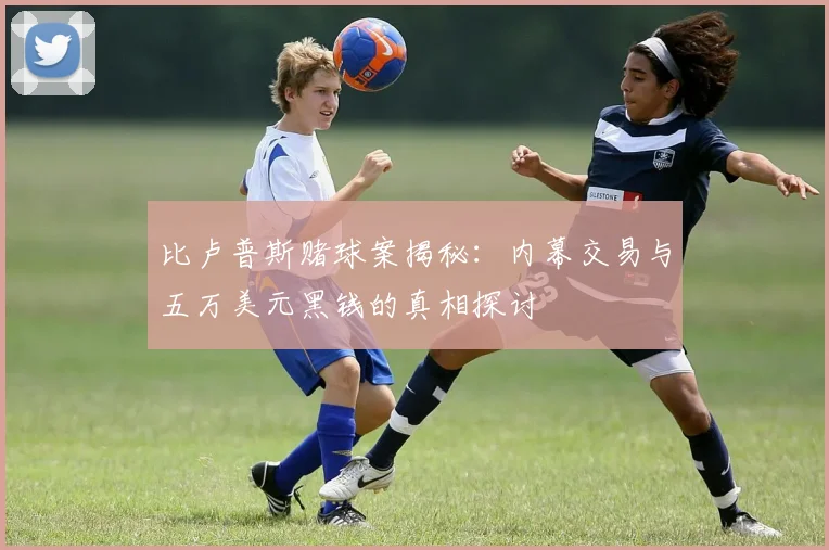 比卢普斯赌球案揭秘：内幕交易与五万美元黑钱的真相探讨