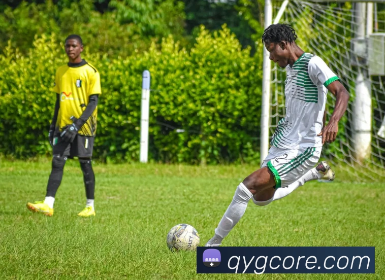 奇异果体育APP 高清赛事图